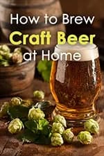 Cómo elaborar cerveza artesanal en casa