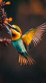 pájaro 03